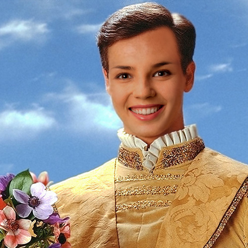 'Prince Charming' Face in Hole Photo Montage Online